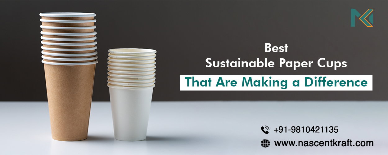 Best Sustainable Paper Cups