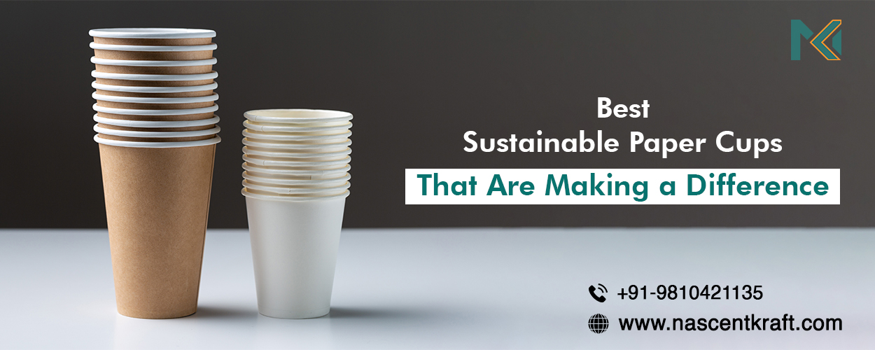 Best Sustainable Paper Cups That Are Making a Difference