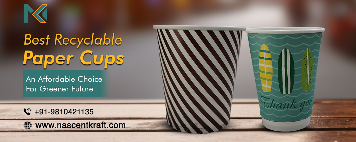 Best Recyclable Paper Cups- Affordable Choice For Greener Future